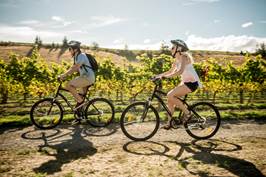 Wine_Marlborough_Bike